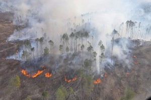 incendios