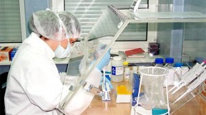 Laboratorio_de_datos_genéticos