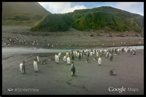 imagen islas malvinas pinguinos