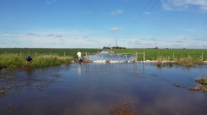 Inundación campos Santiago del estero