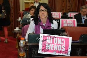 vilches-sesion-unicameral-ni-una-menos