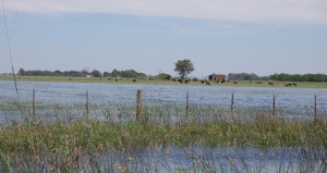 inundaciones5-1024x545