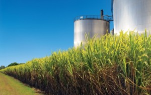Etanol-a-partir-de-biomasa-el-futuro-de-la-bioenergia