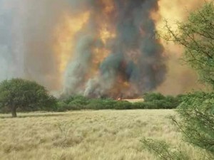 lapampa incendio