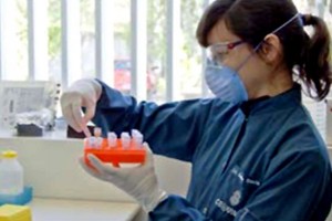 desarrollan_un_metodo_de_biologia_molecular_para_detectar_virus_de_vih_y_hepatitis_c_en_muestras_de_sangre