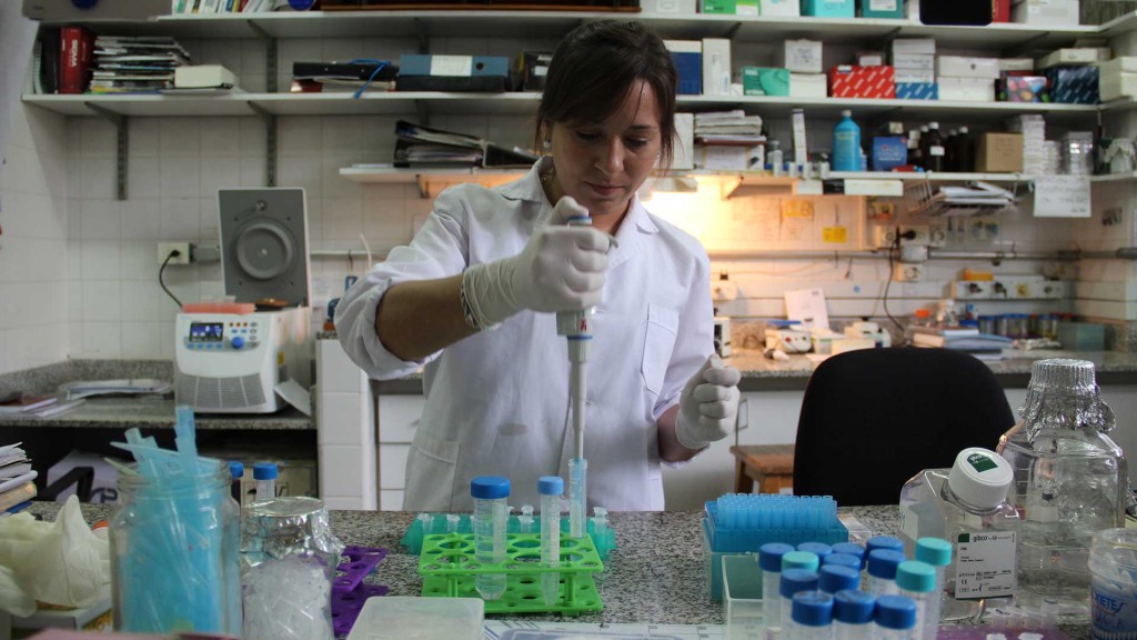 investigacion2
